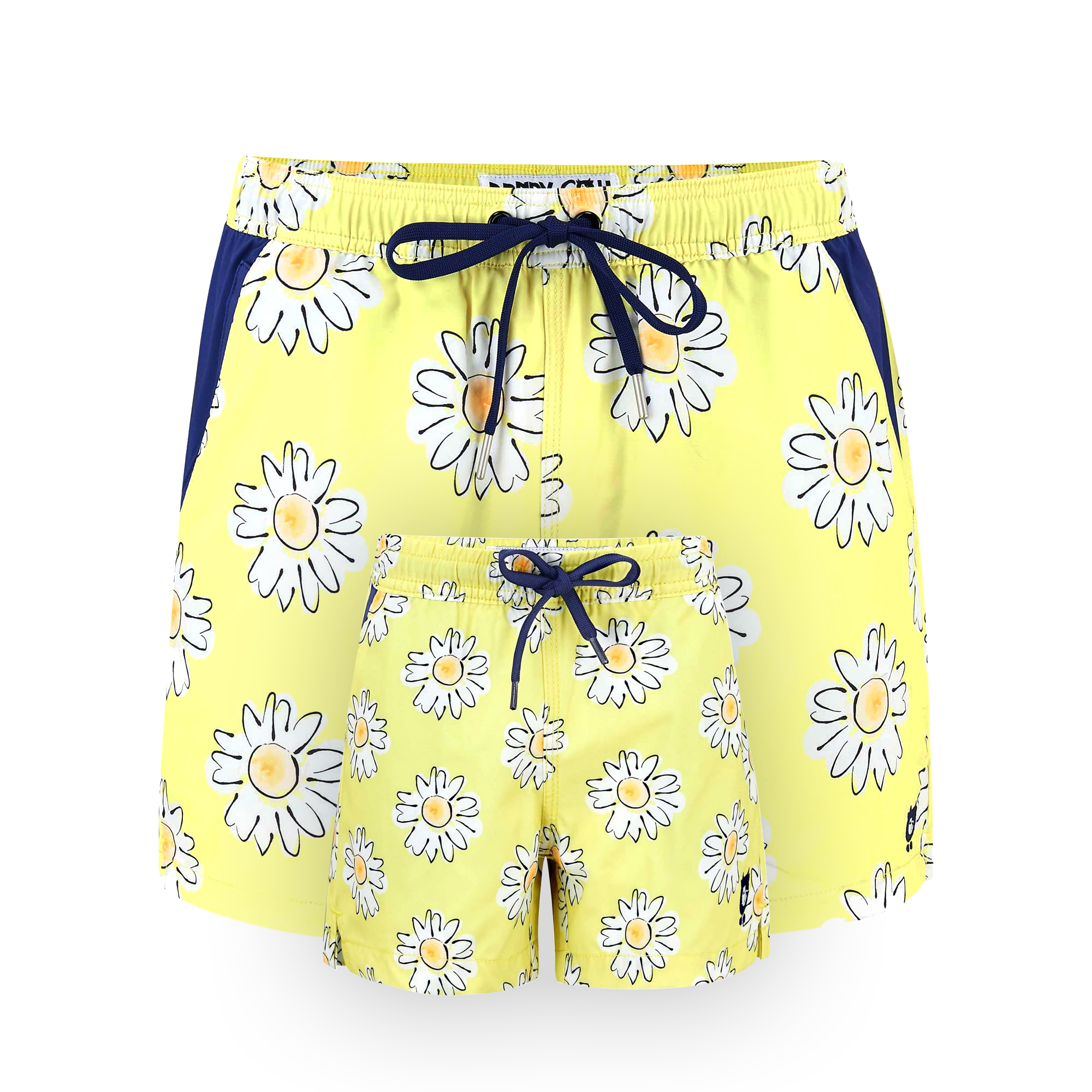 Daisies_7773a553-c113-4138-92d7-2ae81548cd08.png